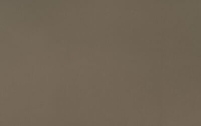 Fossil Brown