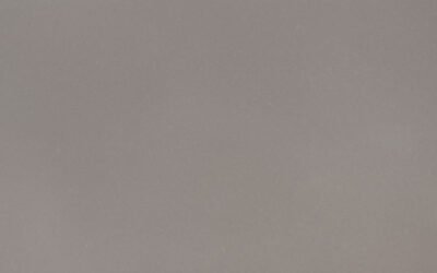 Fossil Gray